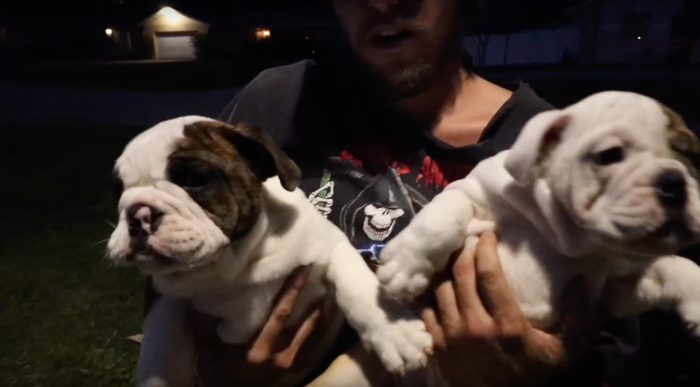 Scotty Cramner: Trey Jones gives his wife the Cutest Puppy Surprise Ever!