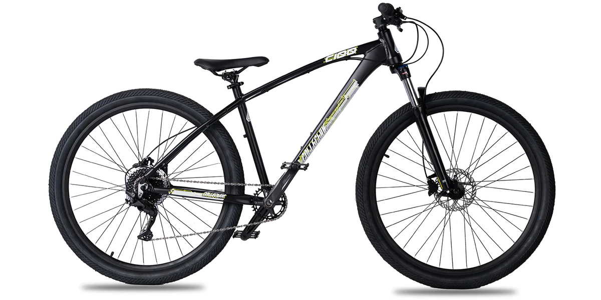 C100 shop bike frame