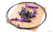 complete view of the Odyssey Evo 2.5 brake set in Purple, bike brake pads, bicycle brake pads, cycle brake pads, bicycle brakes, bike brakes, cycle brake, bicycle brake cables cycle brake cables, tetro brakes, V brakes, bike brake caliper, bicycle brake levers, bicycle brake caliper, caliper brake cycle, bike cables, bicycle cables, rim brakes, box brakes, rim brake bike, bmx bike brakes, bicycle brake parts, bicycle hand brake, hand brakes for bikes, bike brakes bmx, bmx bicycle brakes, brakes bmx bike