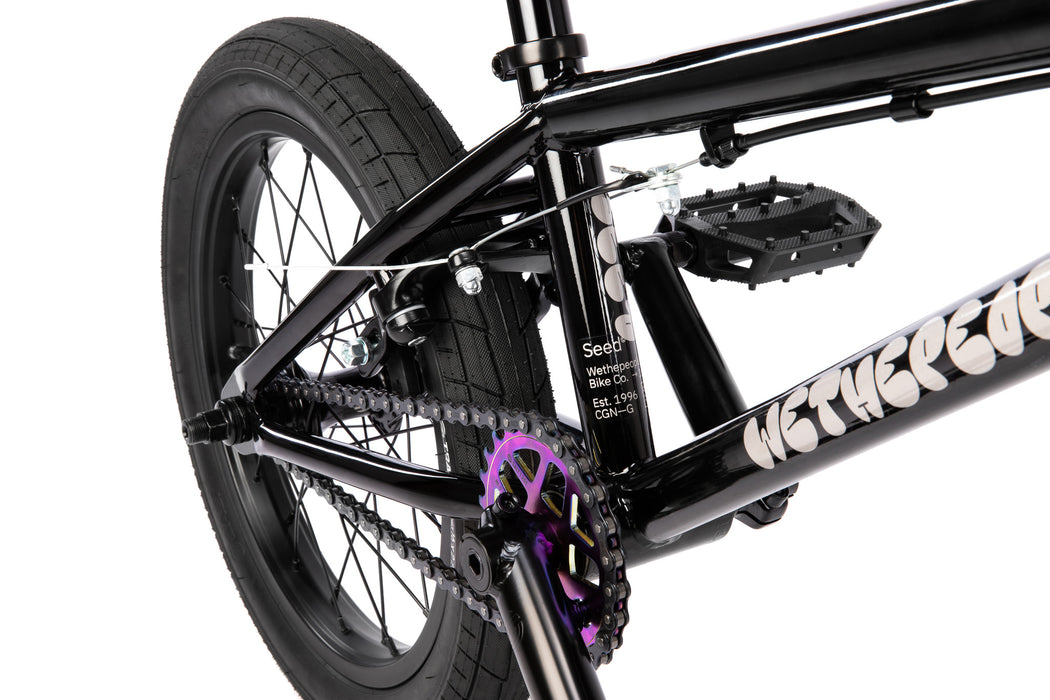 16" Wethepeople Seed