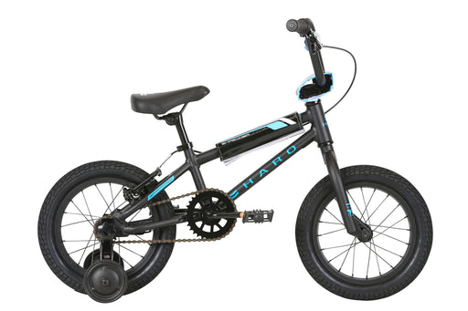 14" Haro BMX Bike beginner bicycle how to ride a bike with out training wheels how to ride a bike